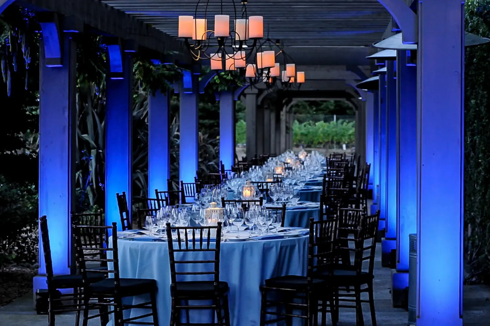 Uplights at Black Stallion Winery